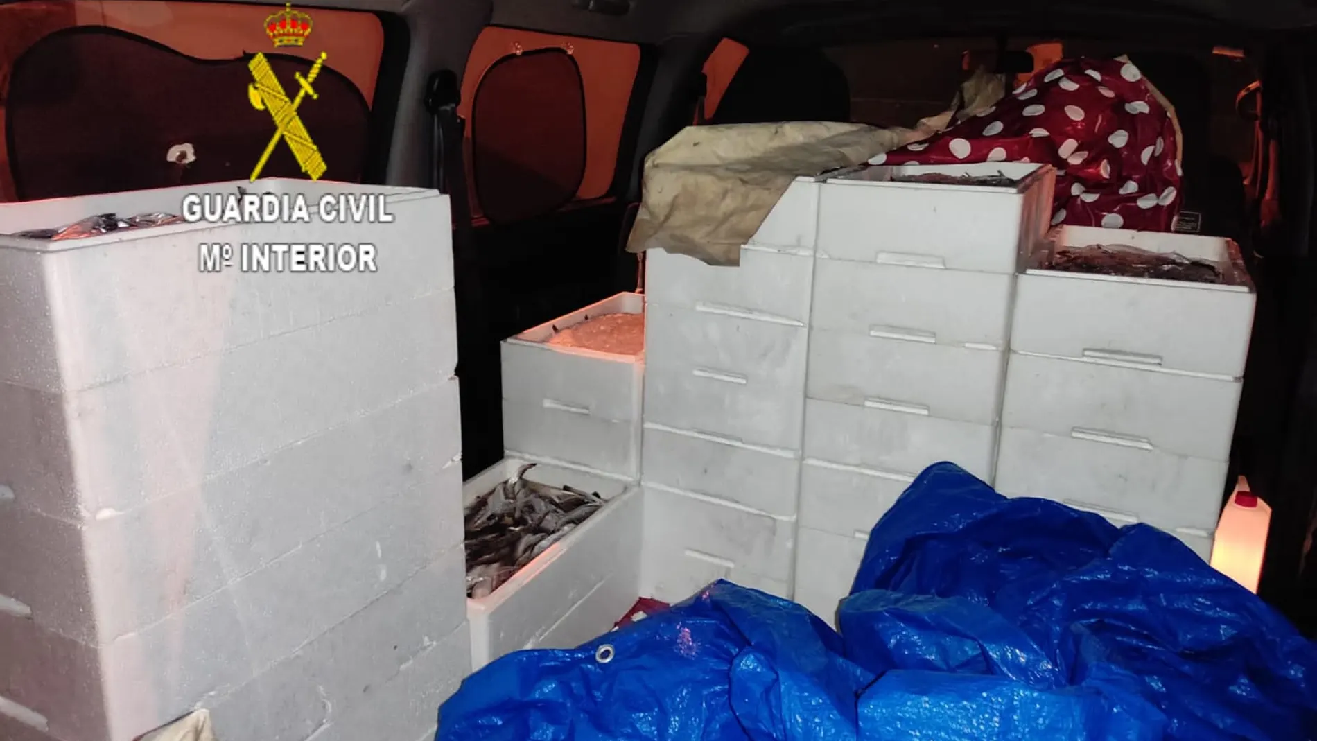 Las pijotas intervenidas por la Benemérita