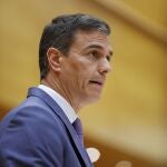 El presidente del Gobierno, Pedro Sánchez
