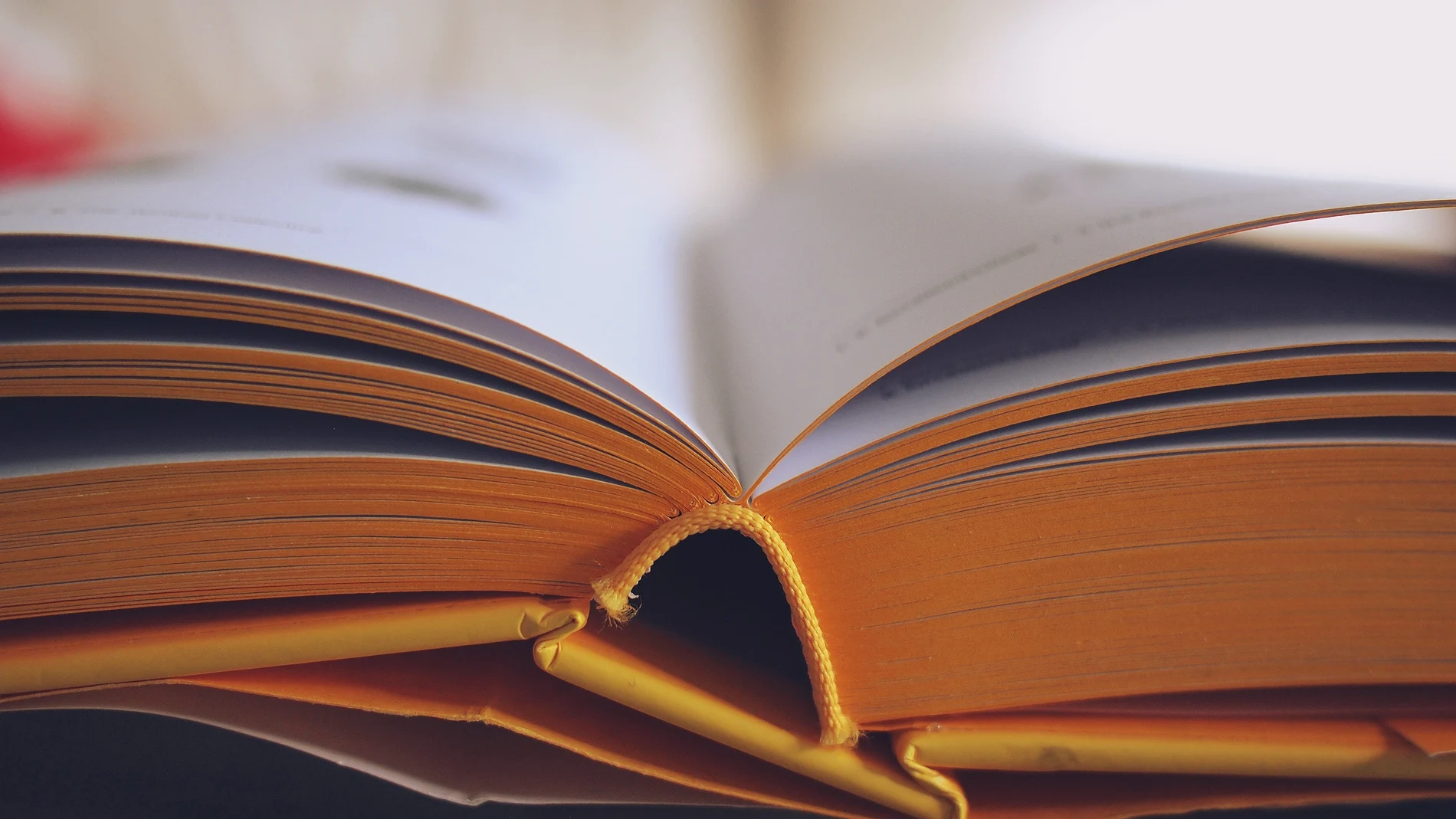 Muchos creen que las páginas de un libro están pegados a la cubierta por el lomo, pero en realidad están pegados a ella por las guardas