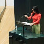 El Ayuntamiento de Madrid celebra el último pleno ordinario del mandato 