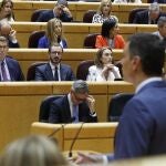 El presidente del Gobierno, Pedro Sanchez, comparece en el Senado para hacer balance de su gobierno en presenc