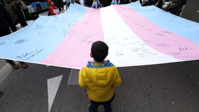 Manifestacion en Madrid en favor de la aprobacion de la "Ley Trans".