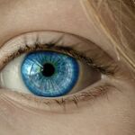 Ojo humano 
