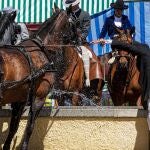 Caballos en el abrevadero del recinto ferial
