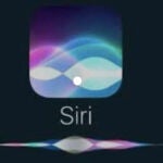 Nadie quiere a Siri