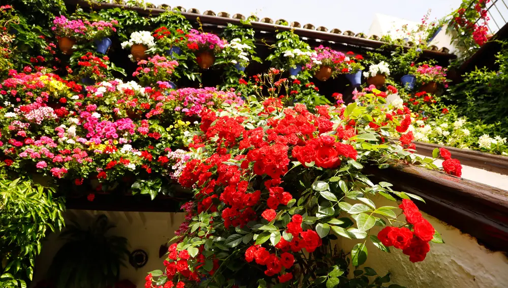 Comienza la Fiesta de los Patios de Córdoba