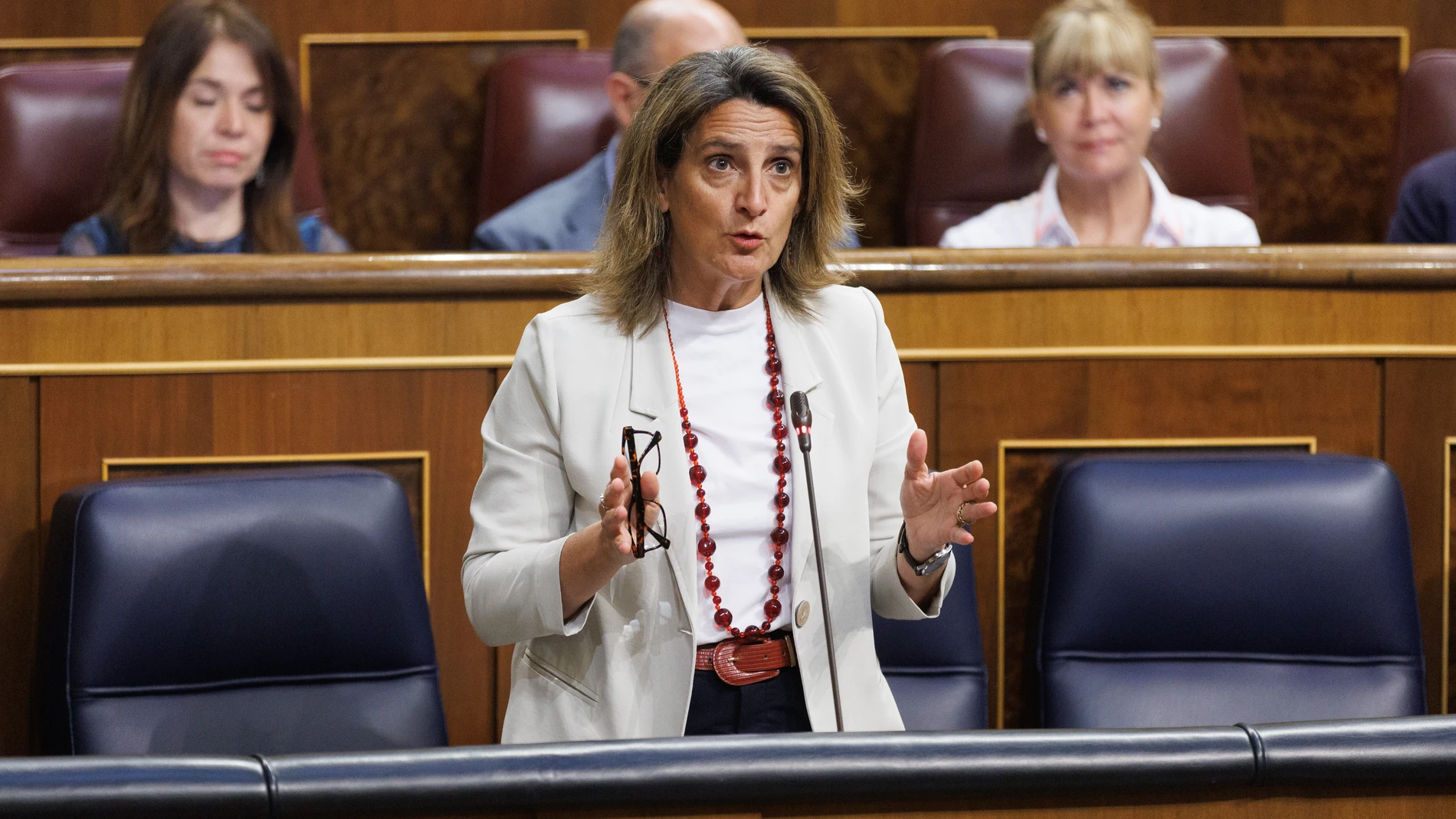 Economía.- Teresa Ribera comparecerá la próxima semana en el Congreso para dar cuenta de los polígonos de eólica marina