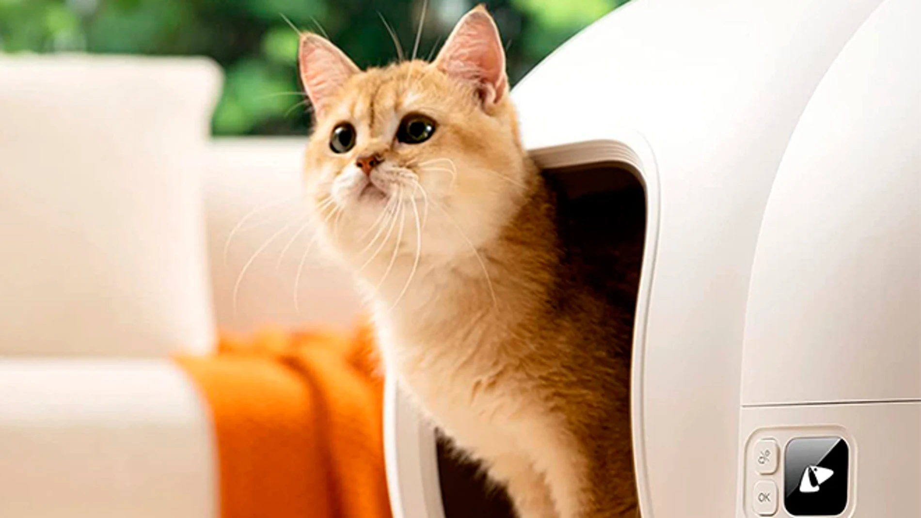 10 gadgets y apps para que tus perros y gatos vivan mejor.