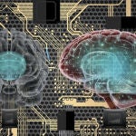 El cerebro de un mono se conecta a un ordenador