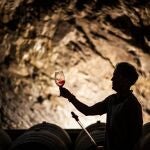 Junto al río Duero se elaboran algunos de los mejores vinos del mundo