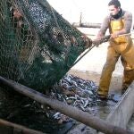«Parece que tenemos la culpa de todos los males de la mar»