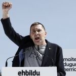 El secretario general de EH Bildu, Arnaldo Otegi 