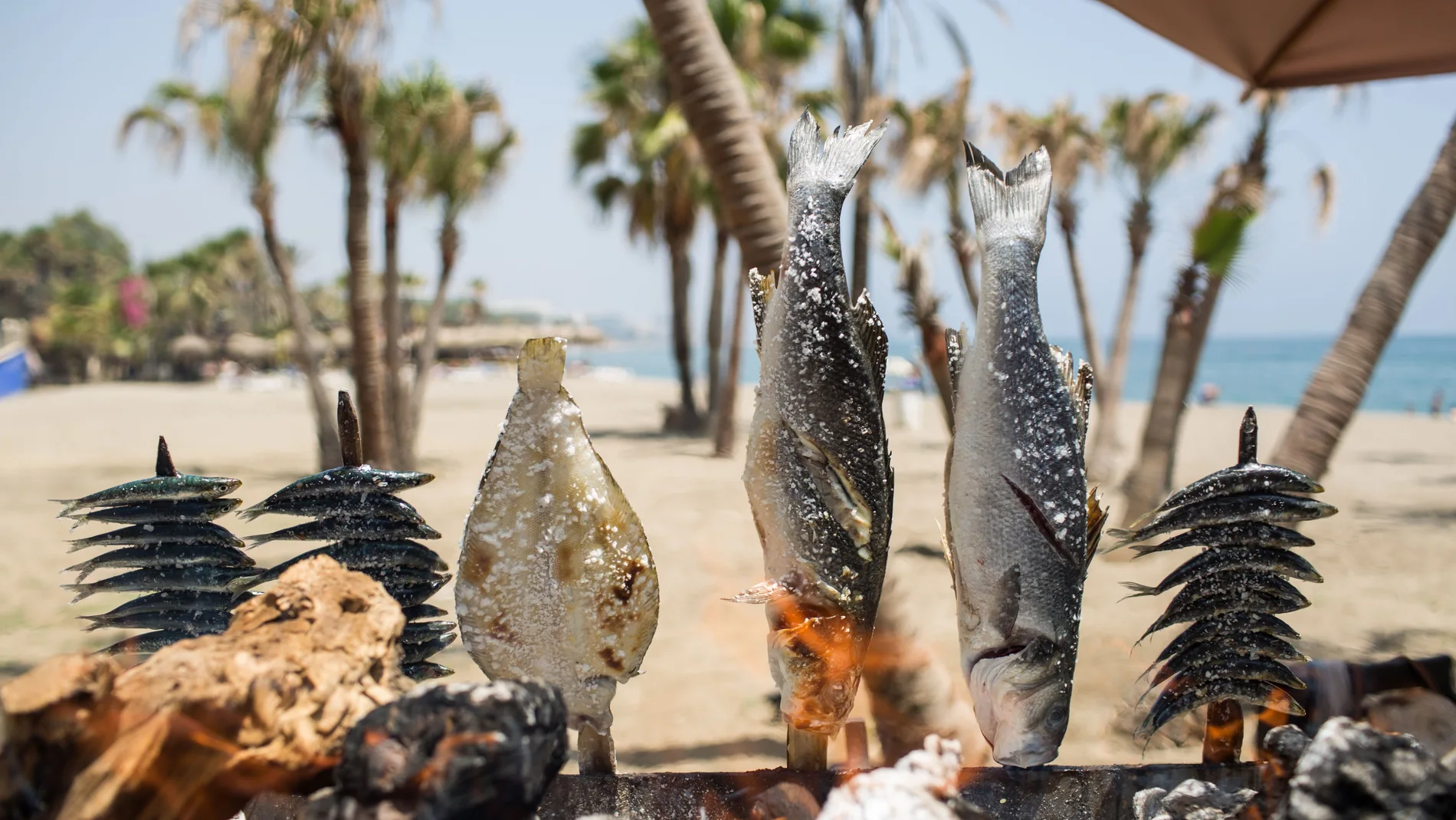 El mar conquista el asfalto: el grupo Trocadero desembarca en Madrid