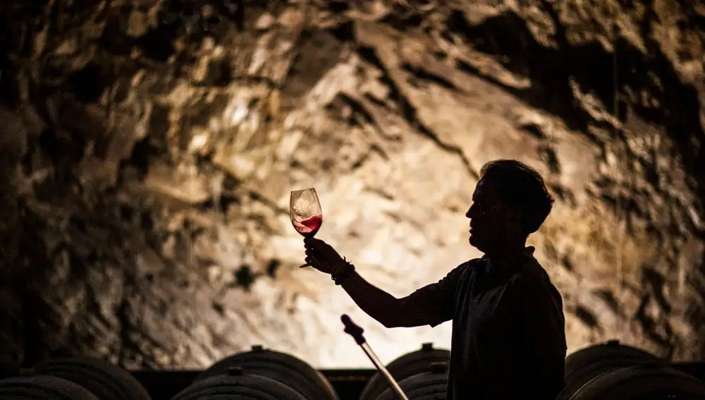 Vinos Iberian, una inmersión por las regiones vinícolas históricas de Ribera del Duero, Priorat y Toro