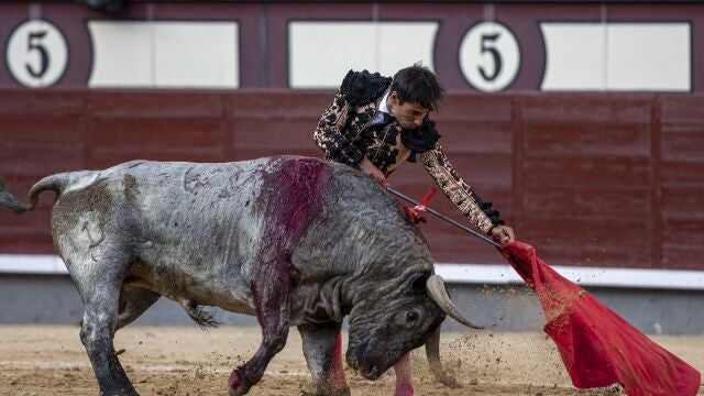 El diestro Gómez del Pilar durante su faena en la corrida de la Feria de San Isidro, este domingo en Las Ventas.