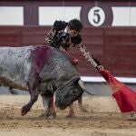 El diestro Gómez del Pilar durante su faena en la corrida de la Feria de San Isidro, este domingo en Las Ventas.
