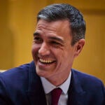 El presidente del Gobierno, Pedro Sanchez, en una sesión control en el Senado