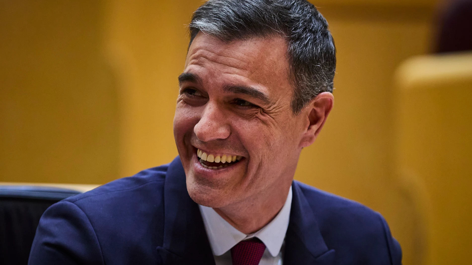 El Presidente del Gobierno. Pedro Sanchez durante la sesión de control en el Senado.© Alberto R. Roldán / Diario La Razón.16 05 2023