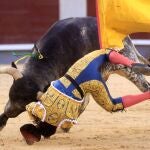 MADRID, 17/05/2023.- El novillero Mario Navas volteado durante el séptimo festejo de la Feria de San Isidro