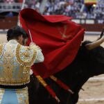 Toros en Las Ventas. © Jesús G. Feria.
