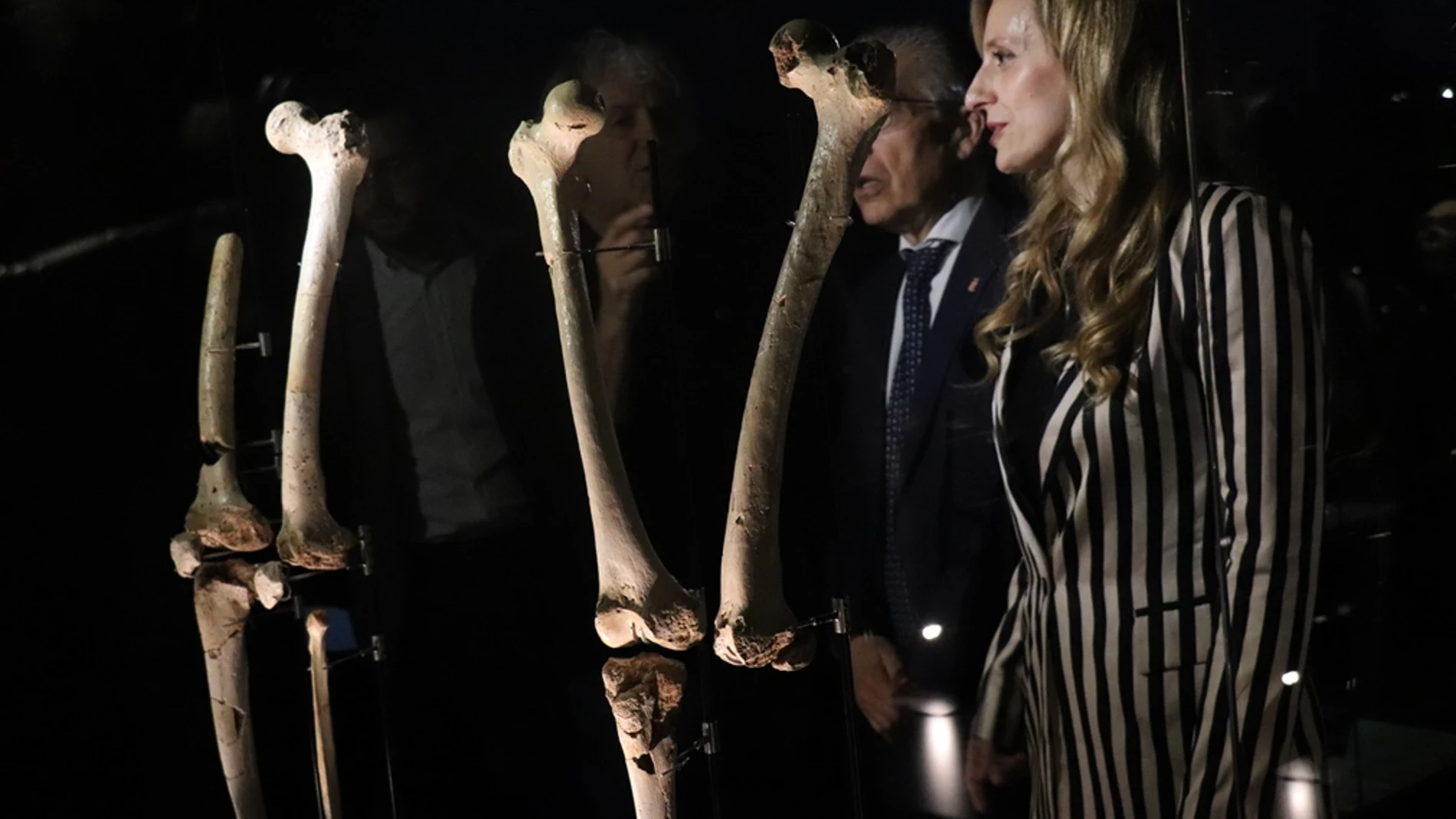 Los restos fósiles incorporados en el Museo de la Evolución Humana
