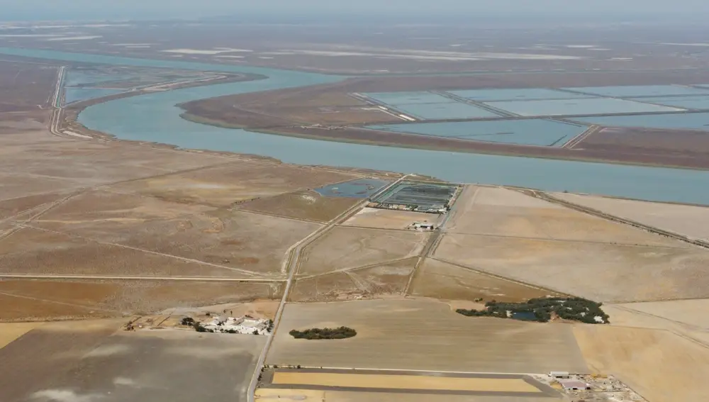 Paisaje de las marismas del Guadalquivir de Trebujena, el área en el que se proyecta una macrourbanización, campo de golf y 300 viviendas