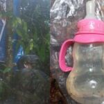 Un biberón hallado en la selva colombiana que dio lugar al hallazgo de los menores
