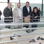 El vicesecretario de Coordinación Autonómica y Local del Partido Popular, Pedro Rollán, apoya a Alfonso Polanco en su candidatura a la Alcaldía de Palencia y realiza una visita al mercado de raza churra, en compañía de la presidenta provincial del partido, Ángeles Armisén, entre otros
