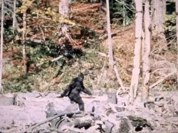 La Inteligencia Artificial analiza la más famosa filmación de Bigfoot La Inteligencia Artificial analiza la más famosa filmación de Bigfoot