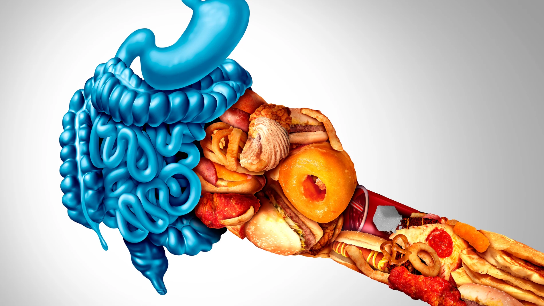 Problemas digestivos a causa de la alimentción