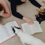  El contacto con perros y gatos puede ayudar a los estudiantes a disminuir el bloqueo que genera la época de exámenes