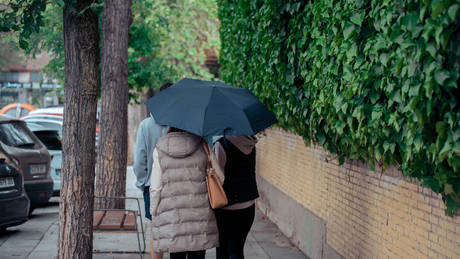 MURCIA.-Las lluvias intensas, las tormentas y la inestabilidad se mantendrán en España hasta el final de la próxima semana