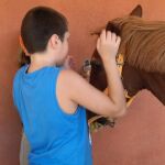 Alejandro, un niño de 12 años con autismo y un leve retraso mental, no es visitado por un psiquiatra desde hace 8 meses