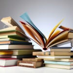 Imagen de archivo de libros