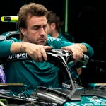 Fernando Alonso y Carlos Sainz, grandes atracciones del público español