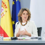 Ribera descarta comparecer por Doñana y propone a PP y Vox ceder su puesto a Delibes: "Seguro que aprenden más"
