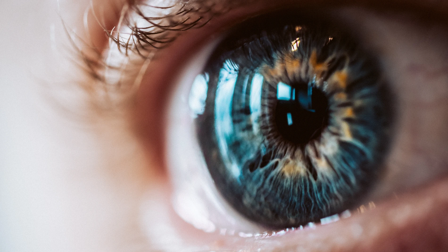 Ojo humano