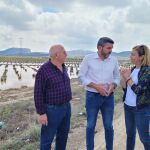 El consejero en funciones, Antonio Luengo, durante su visita a los campos de Jumilla afectados por la tormenta de ayer
