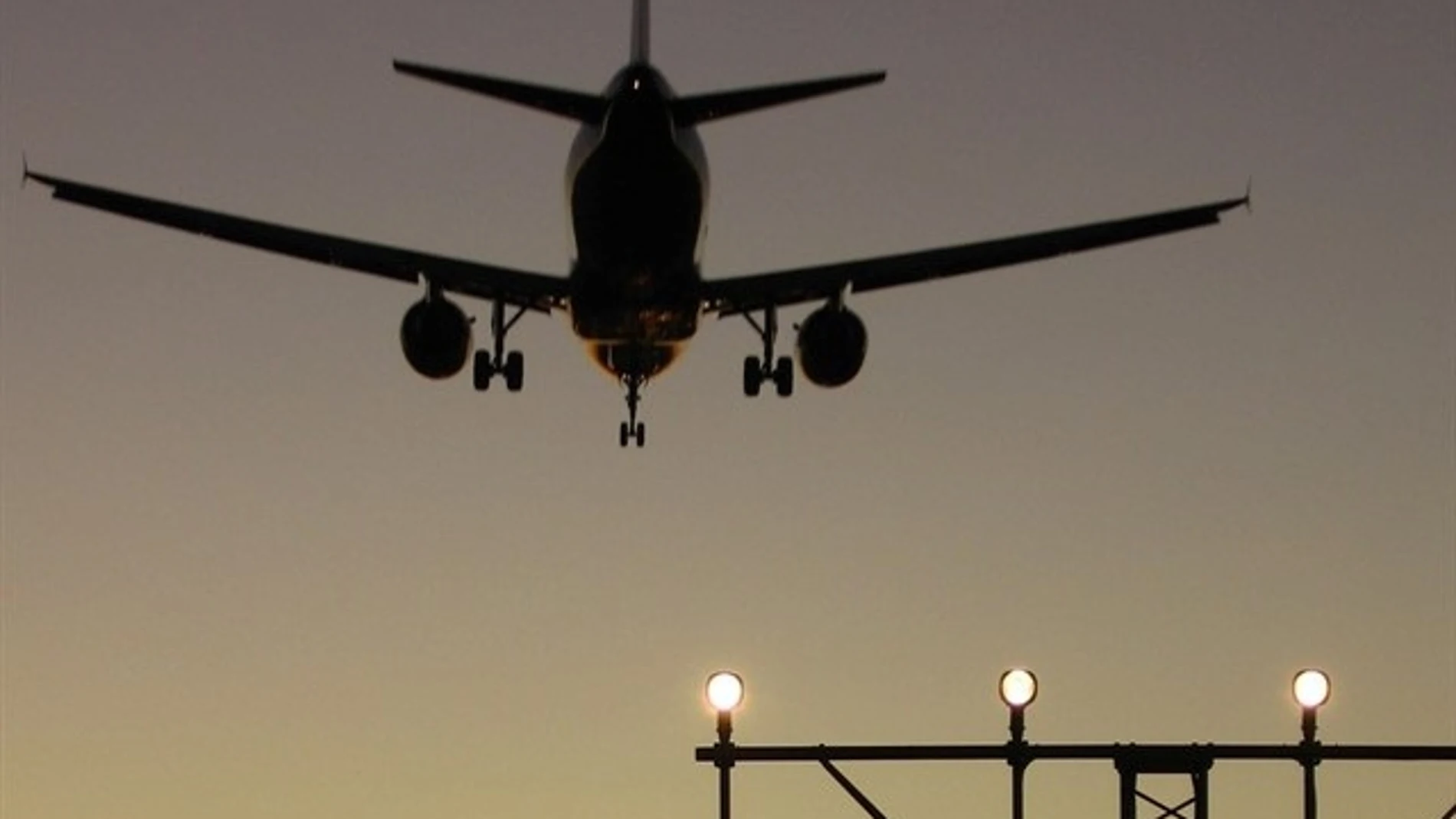 Las acciones de las aerolíneas suben un 7,7% en enero, según la IATA CEDIDA (Foto de ARCHIVO) 25/02/2019