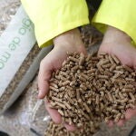 Pellets en las manos