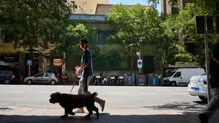 Edificio Antiguo Dispensario calle Goya 52 © Alberto R. Roldán / Diario La Razón Edificio en ruinas en la calle Goya 52. antiguo Dispensario de la calle Goya. El edificio racionalista, construido entre los años 1926 y 1928 por el arquitecto Amós Salvador Carreras, era el Antiguo Dispensario Antituberculoso. Han pasado los años y el conjunto continúa sin ser restaurado ni rehabilitado. © Alberto R. Roldán / Diario La Razón. 05 06 2023