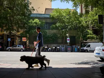 Edificio Antiguo Dispensario calle Goya 52 © Alberto R. Roldán / Diario La Razón Edificio en ruinas en la calle Goya 52. antiguo Dispensario de la calle Goya. El edificio racionalista, construido entre los años 1926 y 1928 por el arquitecto Amós Salvador Carreras, era el Antiguo Dispensario Antituberculoso. Han pasado los años y el conjunto continúa sin ser restaurado ni rehabilitado. © Alberto R. Roldán / Diario La Razón. 05 06 2023