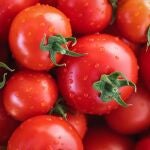 Comúnmente nos referimos a los tomates como una verdura debido a su uso en platos salados, pero en realidad es una fruta