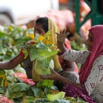 India Daily Life