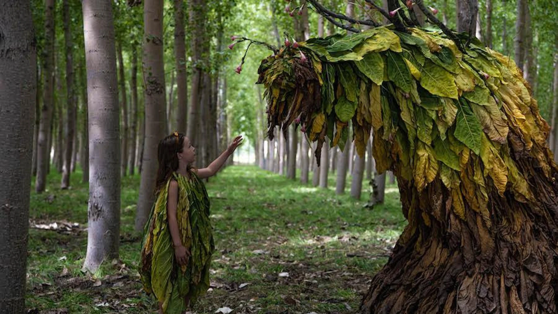"Secaderos", de Rocío Mesa, ya en cines