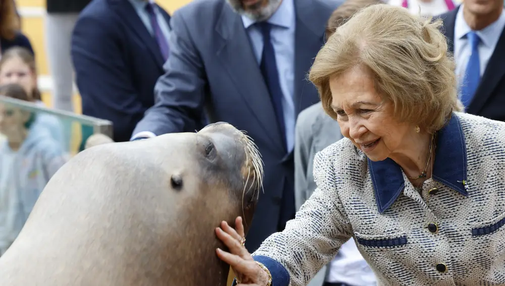 La Reina Sofía con un león marino en el Zoo de Madrid