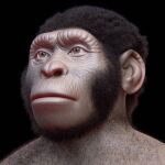 Reconstrucción digital del Homo naledi