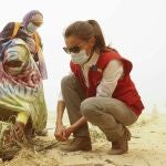  La reina Letizia visita un proyecto de huertos urbanos financiado por la cooperación española, este jueves en Nuakchot, en el último día de su viaje a Mauritania.