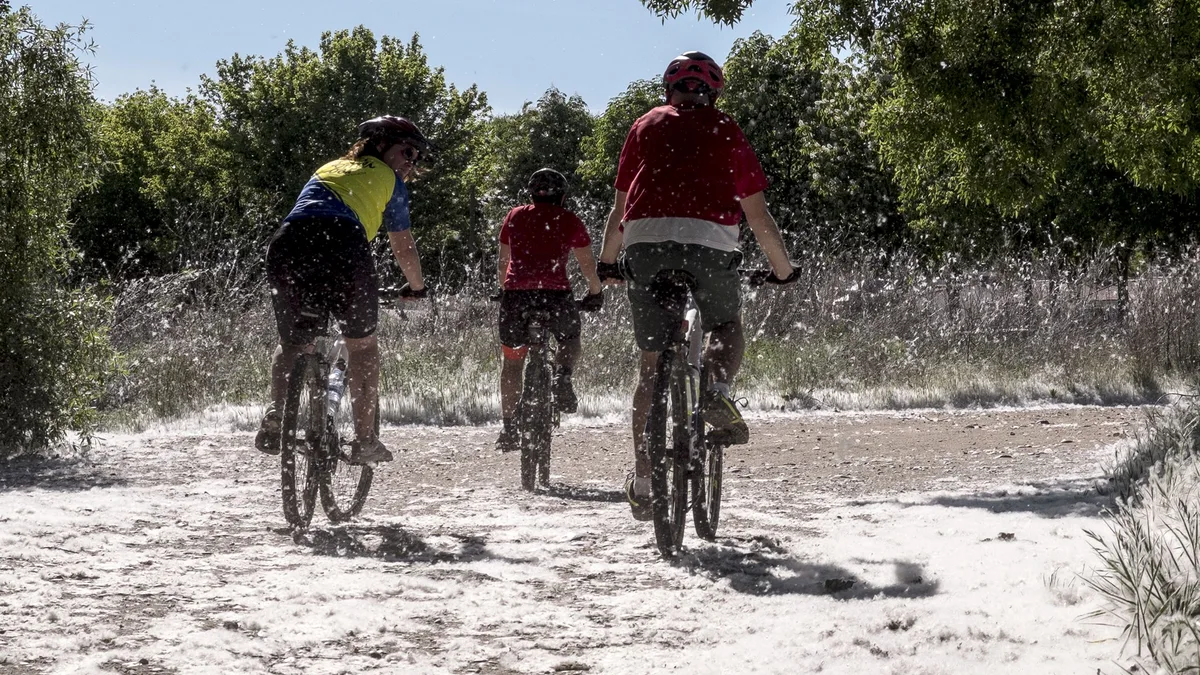 Vuelve la pesadilla primaveral para los alérgicos: Estos consejos te ayudarán
