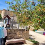 Maniquíes con una historia detrás para denunciar la falta de vivienda a buen precio y condiciones en pueblos segovianos
